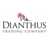 Dianthus Building